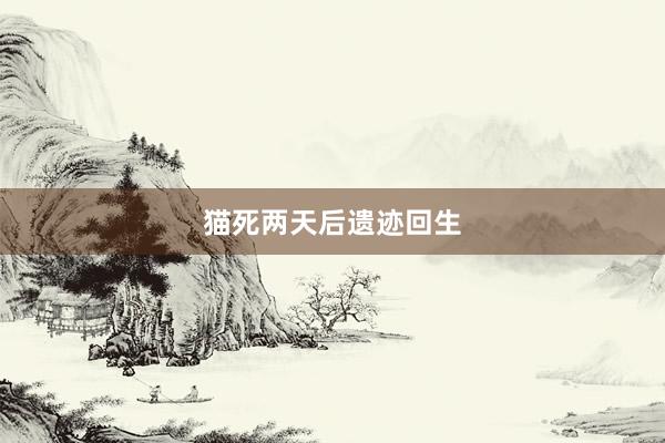 猫死两天后遗迹回生