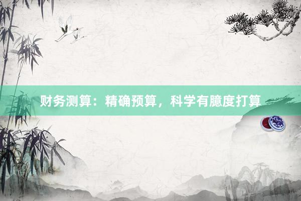 财务测算：精确预算，科学有臆度打算